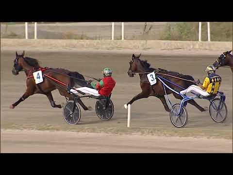 Napoli Trotto 17/09/2023 - 5ª corsa - G.P. Freccia D'Europa