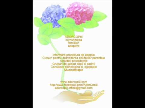 Ce nu stii despre adoptie la RRI.wmv