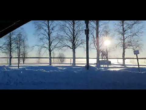 Sotkamo 23.01.2023 🇫🇮