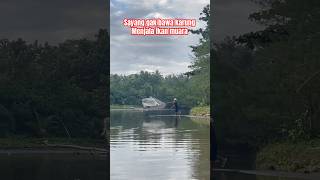 Download lagu 🔴 Ngecrik ikan di sungai || menjala ikan #ngecrik #menjalaikan #menjalaikandisungai mp3