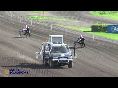 Laqgħa ta' Tiġrijiet għall-Ponijiet u Dilettanti - 30/12/2023