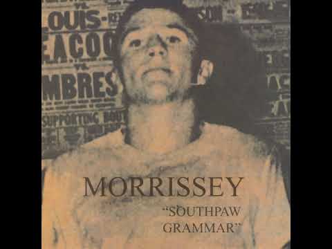 The Teachers Are Afraid Of The Pupils - Morrissey