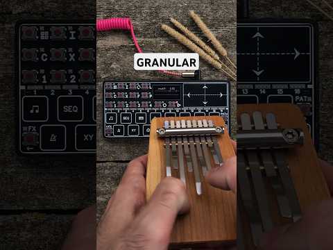 LOOPA sampler engine has several modes, one of them is granular #sound #synth #granular #loopasynth