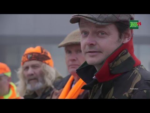 Driven hunt in the Leica hunting area