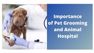 Importance of Pet Grooming and Animal Hospital
