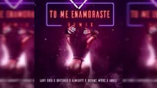 Tu me enamoraste remix