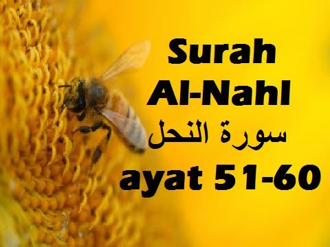 2014/04/07 Ustaz Shamsuri 809 - NE2 Surah An Nahl ayat 51-60
