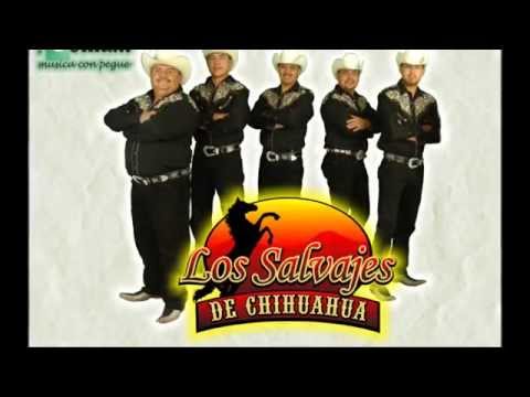 LOS SALVAJES DE CHIHUAHUA - LA LADRONA 2013 ♪♫♪