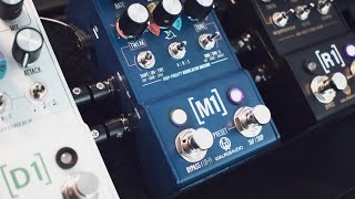 M1 Walrus Audio: Bass - Bass Synth Pedal Sketch w/ Knob Settings - w/ D1 & R1