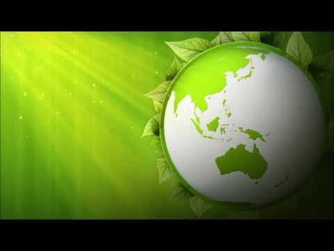 Зеленый дом Бориса Щербакова приглашение