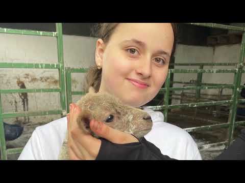 1st year 2021 - 2022