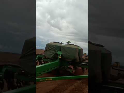 muita chuva final de plantio milho mato grosso Diamantino