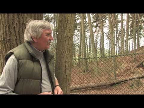 Unter Bären - ein Arbeitstag im Bärenpark Worbis (2011)