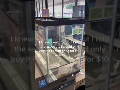 Save $60 on this 29 Gallon Tank **Full Video**
