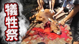 【閲覧注意】イスラムの犠牲祭。これクレイジージャーニーで見るやつやん！I participated in the Islamic sacrifice festival