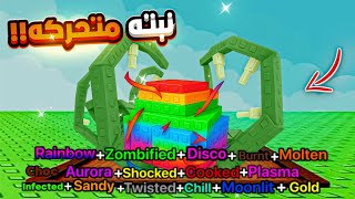 جربت اغلى نبته في التحديث الجديد ????اغلي من البون بلوسم ؟???? / grow a garden 