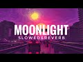 Moonlight - Harnoor |Punjabi Song | slowed and reverb