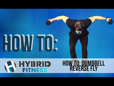 Reverse Fly