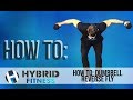 How to: Dumbbell Reverse Fly