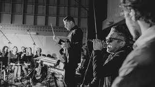 Nie, Nie, Nie - T.Love i Orkiestra Wieniawa | T.Cover