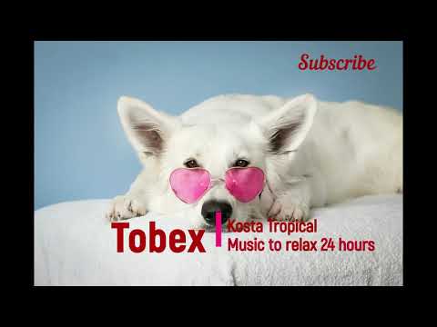 Track   Tøbex - Kosta Tropical