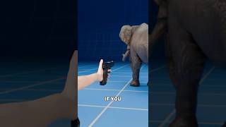 What if you shoot a bullet at the elephant? 🐘