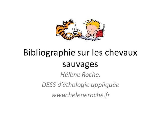 Vídeo relacionado con Chevaux: Sauvages ou dressés (Documentaires)