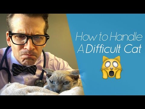 Difficult Cat? Try The Burrito Technique