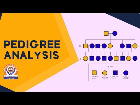 Pedigree Analysis: Concept, Symbols and Illustration with Hemophilia