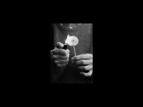 Totally Nothin - Dailystavy