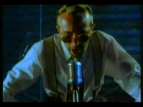 Los Calzones - Te Sigo