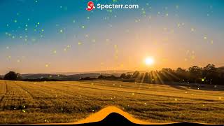 Cover art for Hells Comin' With me