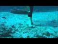 Men hunting Mermaids (Alpine-Hands/Goldroom ...