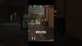 野良を守る【シージ/R6S】