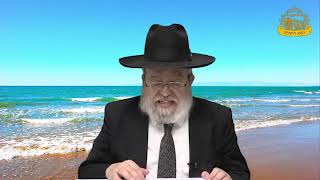 דף היומי בחצי שעה - בבא קמא דף ה