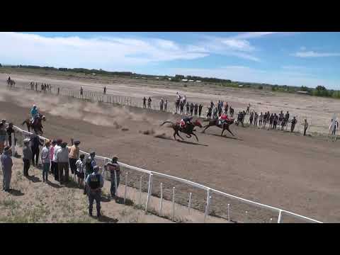 ESTIBER  Club Hipico "Cabo Alarcon" -    Picun Leufu -  04-12-2022