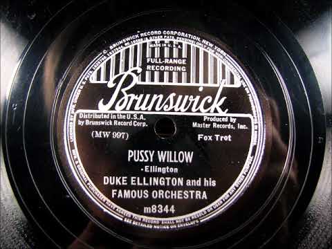 Video thumbnail for Pussy Willow