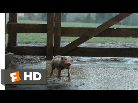 Charlotte's Web (2/10) Movie CLIP - Wilbur Plays in the Mud (2006) HD