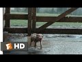 Charlotte S Web 2 10 Movie CLIP Wilbur Plays In The Mud 2006 HD