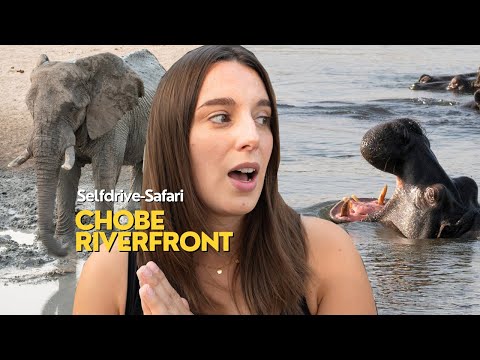 BOTSWANA 🇧🇼 Along the Chobe Riverfront 🐘 Our assessment of the mosquito and malaria situation