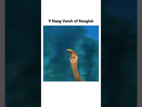 9 Nag Vansh of Naglok | nag vansh | King of snake |Nagin serial|mythology|#nagin6 #nagin7 #kingcobra