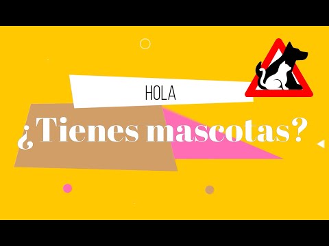 PetLost - Mascotas perdidas video thumbnail