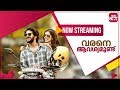Varane Avashyamund Full Movie Streaming Now On SunNXT Suresh Gopi Dulquer Salmaan Shobana