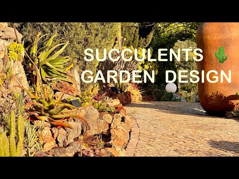 Apr 21, 2024: Creating a succulents 🌵 garden between wine tunnel and veggie garden 🪴