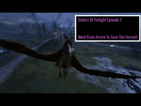 Warhammer 2 - Sisters Of Twilight #1: The Wood Elves Arrive To Save The Forrest!