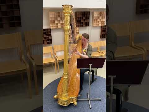 Chanson de mai & Baroque Flamenco