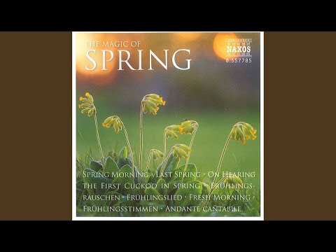 3 Small Tone Poems: III. Spring Morning