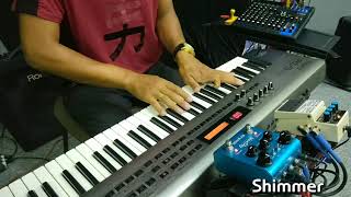 Video thumbnail for Roland RS-5 + Pedais - BossDD7 / Bluesky | Vídeo Review - Reverse e Reverb Ambiente - Fundo Musical by Ronaldo Tavares keyboards