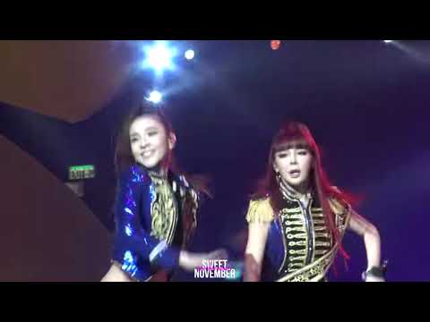 2NE1 DARA fancam