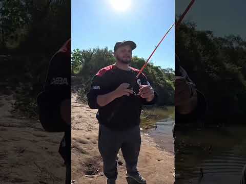 Pesca de Bagres y Bogas en el canal de los puestos, Tucumán #pesca #fishing #rio #argentina #fish